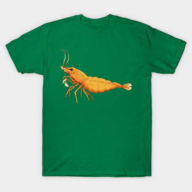 Keep it Shrimpel T-Shirt by FrauFlauschert